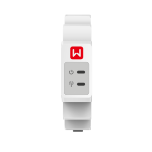 GoodWe GM1000D (single-phase smart meter, 2 CT)