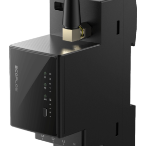 EcoFlow Smart Meter (external grid-point meter)
