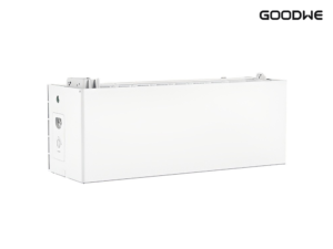 GoodWe GW6.0-BAT-D-G20 (ESA battery module, 6.0 kWh)